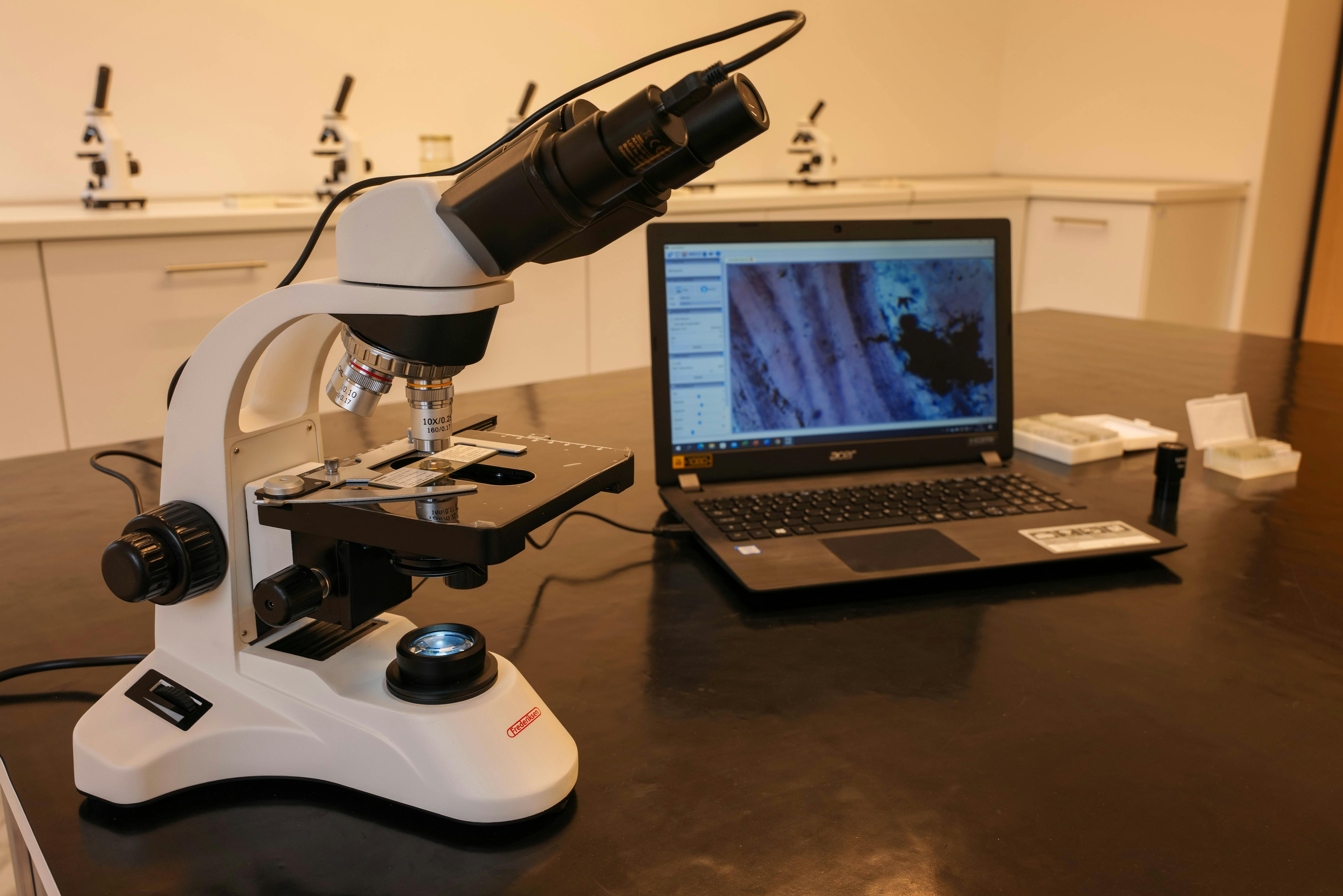 Figures decide fate—image checks and integrity